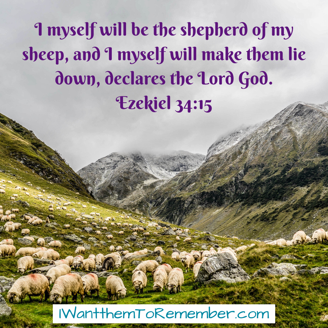 sheep on a mountainside with scripture Ezekiel 34:15