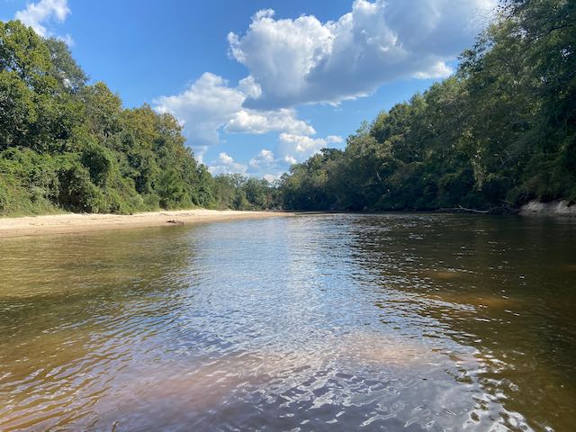 peaceful river